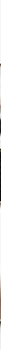 f64995525916e1291ea37f9b68a60166_NERO_MIBGA0A01_54_001