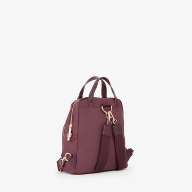 3875c35fd27050edff3990dfc7be074a_VIOLA_MIBS9F202_17_295