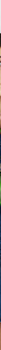 c57b8e9ffb37b1384e9299cd12886fdb_VERDE_MIBS9RZ01_33_566