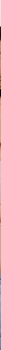 3875c35fd27050edff3990dfc7be074a_VIOLA_MIBS9S204_10_E14