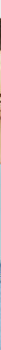 16fb2e2e3e677bb1ddd0c30429e36c59_TURCHESE_MIBS9S305_23_F61