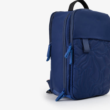 8614c9477a5d86f42a1da6b19d625392_BLU_MIBS9VF01_17_002