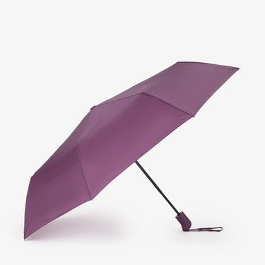 3875c35fd27050edff3990dfc7be074a_VIOLA_MIOM9MD07_7_295