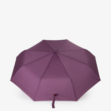 3875c35fd27050edff3990dfc7be074a_VIOLA_MIOM9MD07_8_295