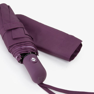 3875c35fd27050edff3990dfc7be074a_VIOLA_MIOM9MD07_9_295