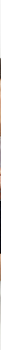a8bff3e55b6e4622f33043f2069368b6_ARGENTO_MISCA3601MET_4_040
