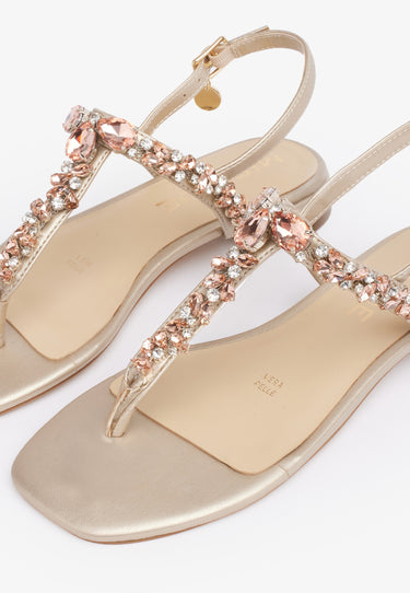 f4f3758b95b0a3f20c7bf9238df46407_ORO_MISCA8801_14_978