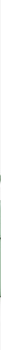 16fb2e2e3e677bb1ddd0c30429e36c59_TURCHESE_VBS9OG20_16_206