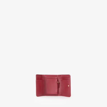 ad122ac636734ff9bed2deaa0092923a_CORALLO_VPS8ZG43_21_P90